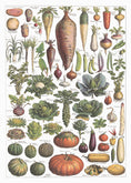 Load image into Gallery viewer, French vegetables tea towel
