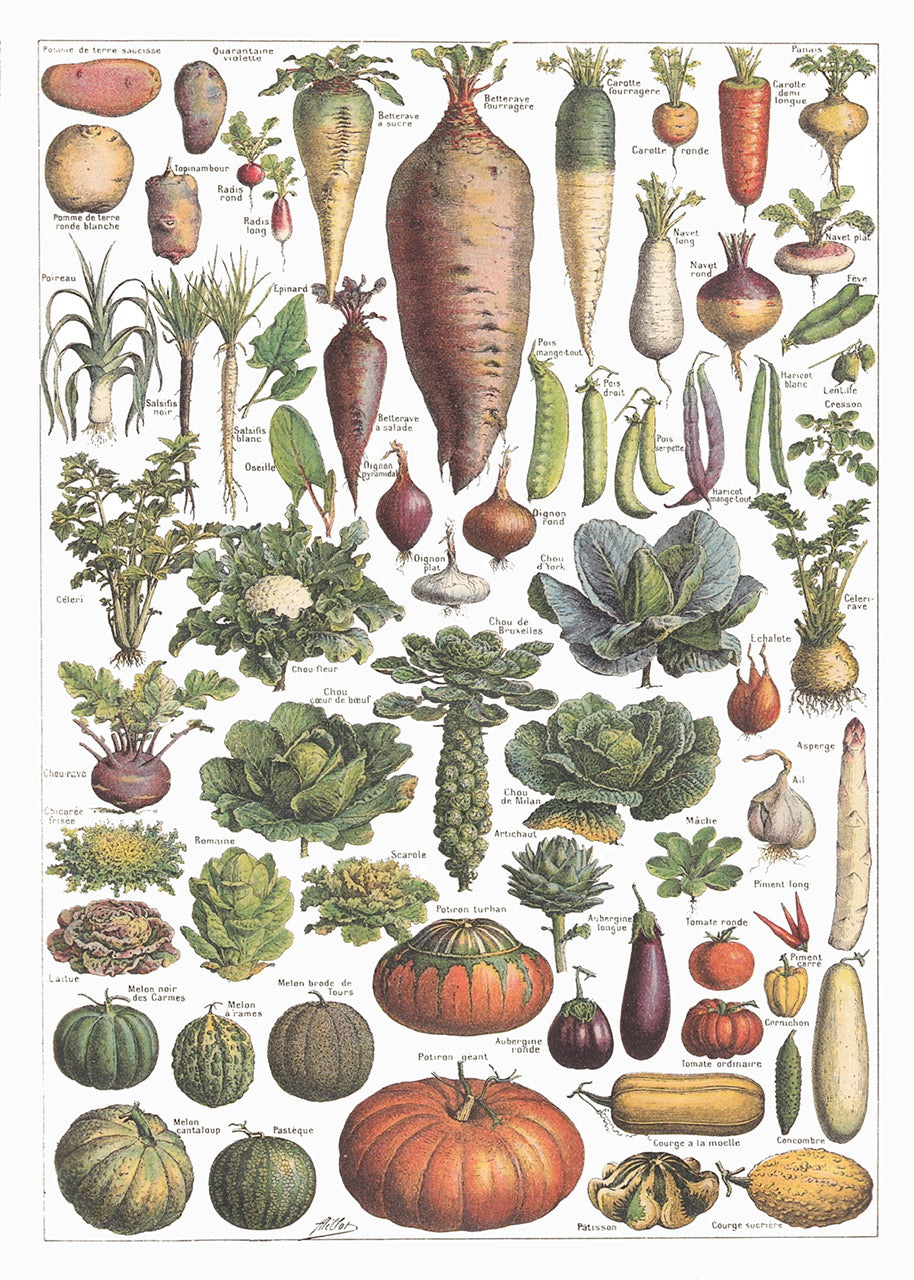 French vegetables tea towel