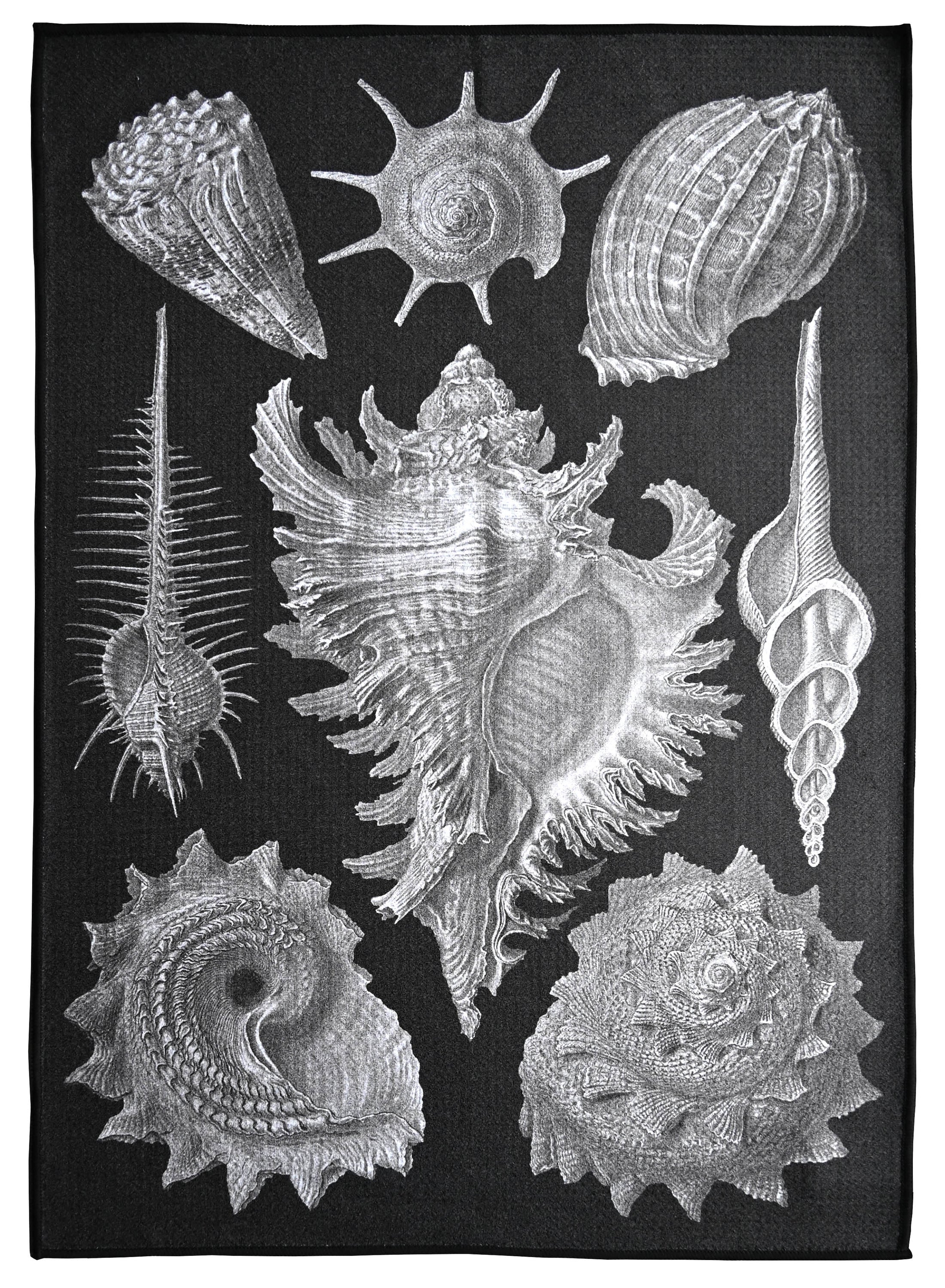 Sea Shells tea towel