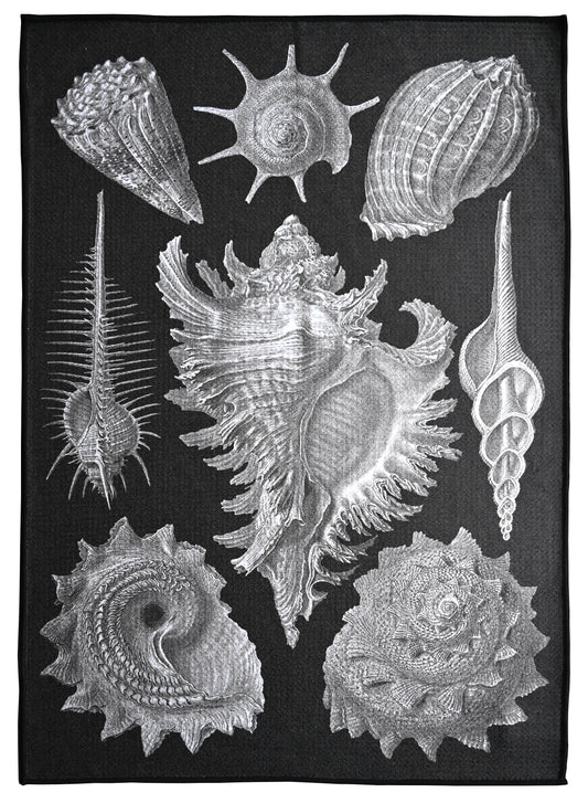 Sea Shells tea towel